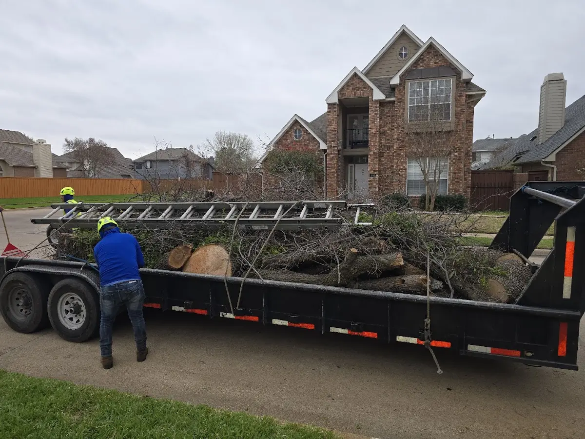 Expert Tree Removal with proper safety equipment in Huntington